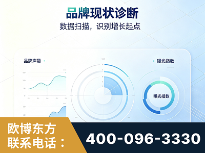 任丘-品牌现状诊断