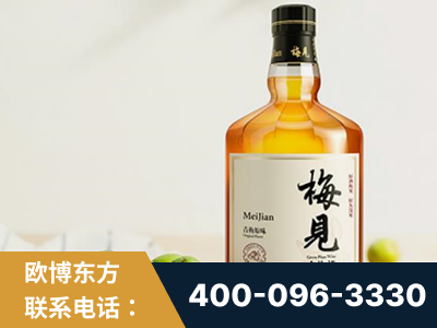 任丘-梅见青梅酒